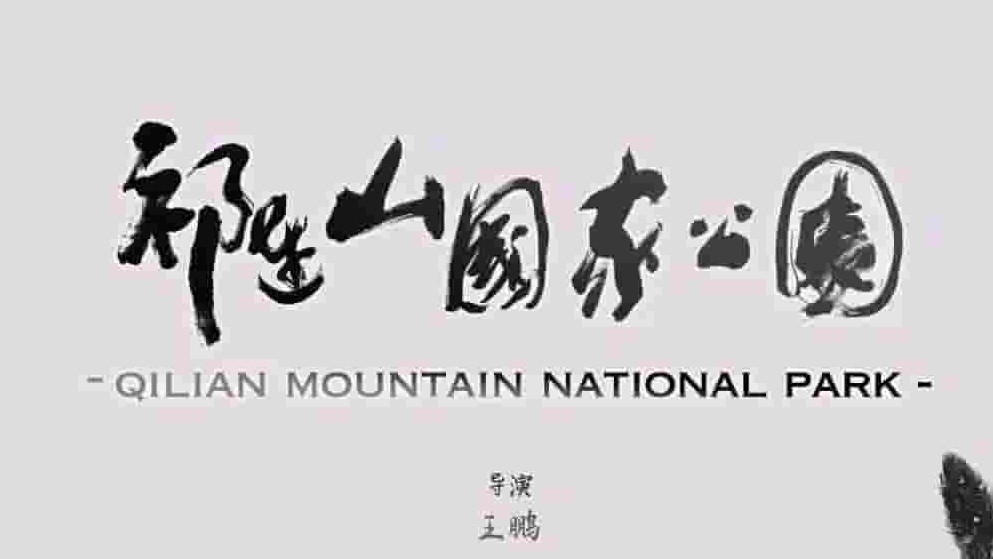 国产纪录片《祁连山国家公园 2021》全2集 国语中字 1080p高清网盘下载