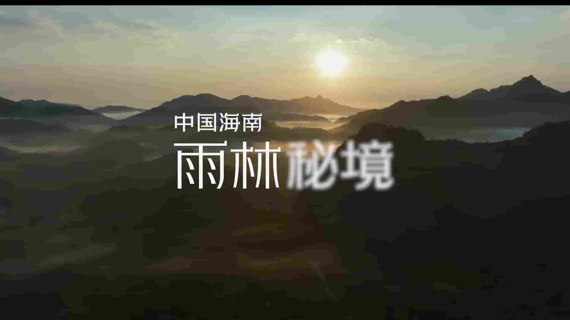 国产纪录片《中国海南·雨林秘境 2023》全3集 国语中字 1080P高清网盘下载