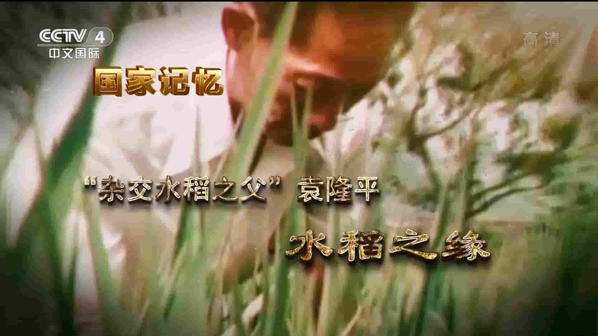 央视纪录片《杂交水稻之父袁隆平 2021》全5集 国语中字 1080p高清网盘下载