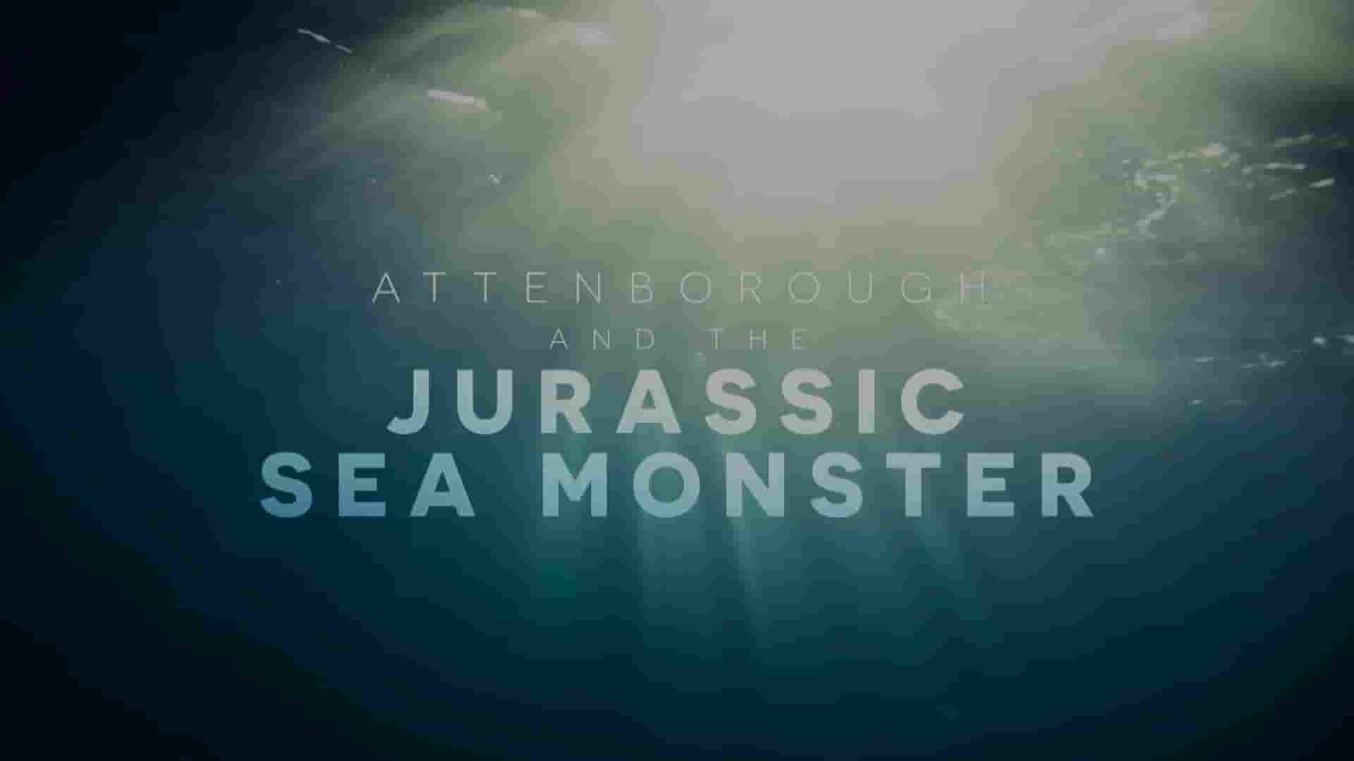 PBS纪录片《爱登堡和海底巨兽 Attenborough and the Giant Sea Monster 2024》全1集 英语中英双字 1080P高清网盘下载