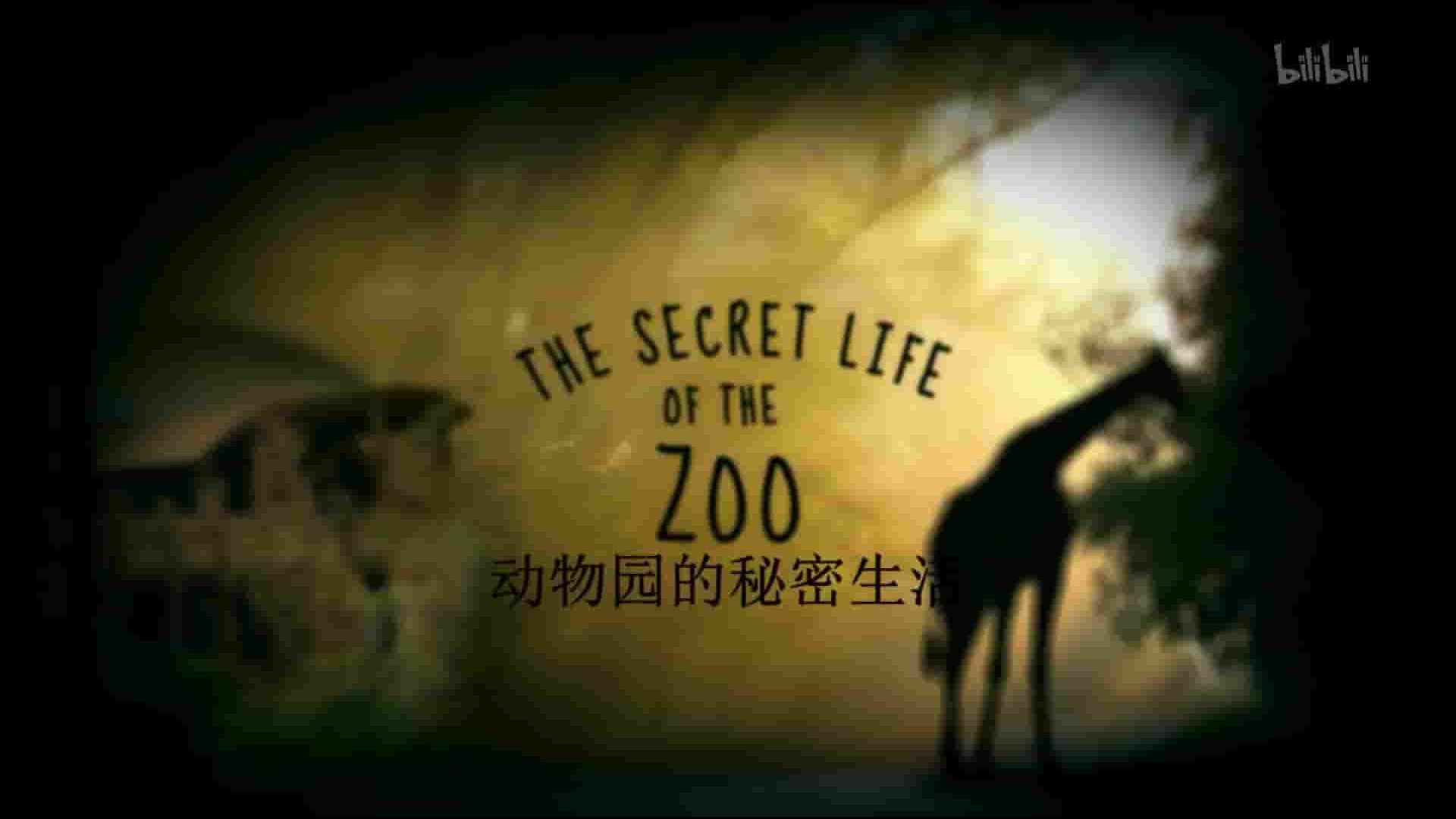 英国纪录片《动物园的秘密生活 The Secret Life of the Zoo 2016》第1-4季全35集 英语中字 1080P高清网盘下载