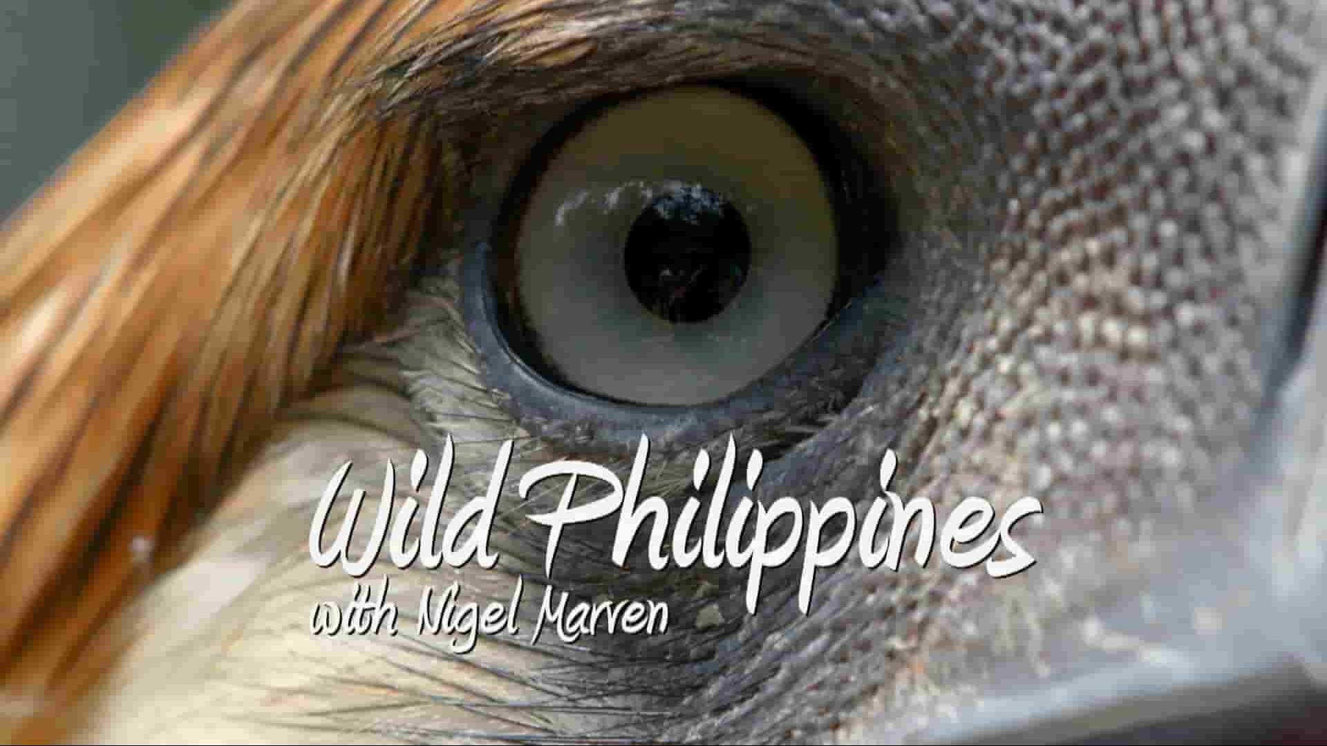 Curiosity纪录片《奈杰尔·马文的狂野菲律宾/野性菲律宾 Nigel Marven’s Wild Philippines 2023》全3集 英语中英双字 1080P高清网盘下载