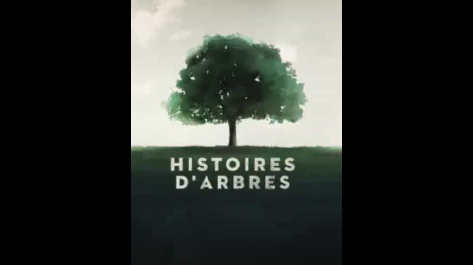 法国纪录片《两棵树，两个幸存者 Histoires d