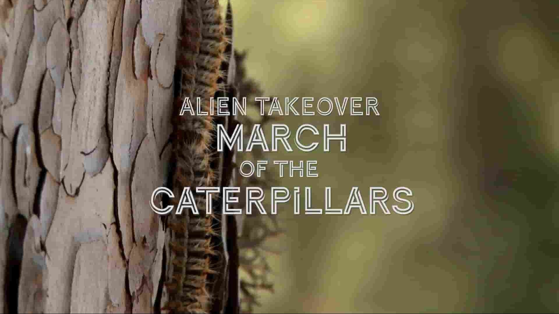 Curiosity纪录片《怪物入侵/外星人入侵 Alien Takeover 2022》全2集 英语中英双字 1080P高清网盘下载