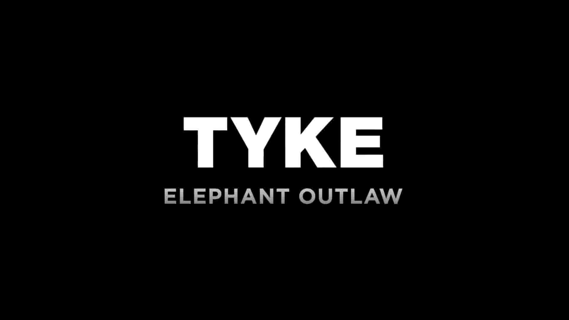 美国纪录片《迷途小象泰克 Tyke Elephant Outlaw 2015》全1集 英语内嵌中英多字幕 1080P高清纪录片