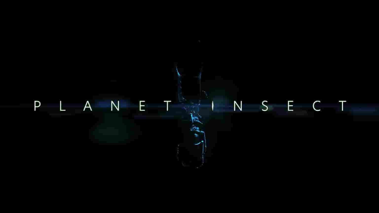 Curiosity纪录片《昆虫星球 Planet Insect 2022》全3集 英语中英双字 1080P高清网盘下载