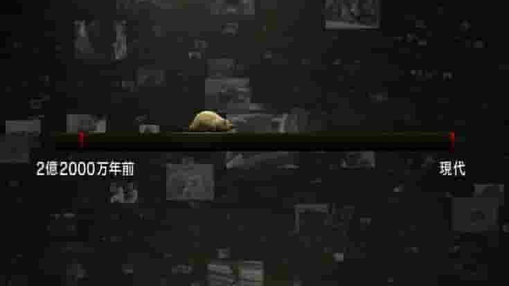 NHK纪录片《恐龙灭绝·哺乳类动物的抗争》全2集 日语中字 标清网盘下载