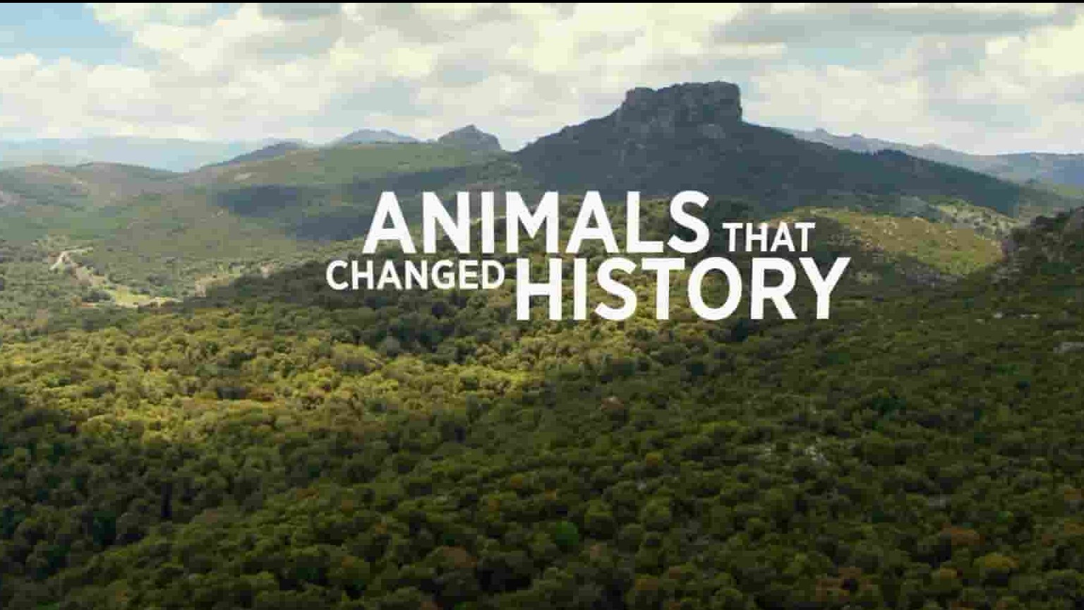 美国纪录片《改变历史的动物 Animals that Changed History 2016》全1集 英语中英双字 1080P高清网盘下载