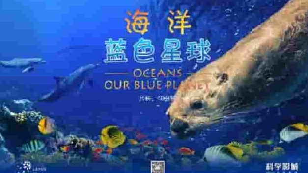英国纪录片《海洋：我们的蓝色星球 Oceans: Our Blue Planet 2018》全1集 英语中字 4k超高清网盘下载