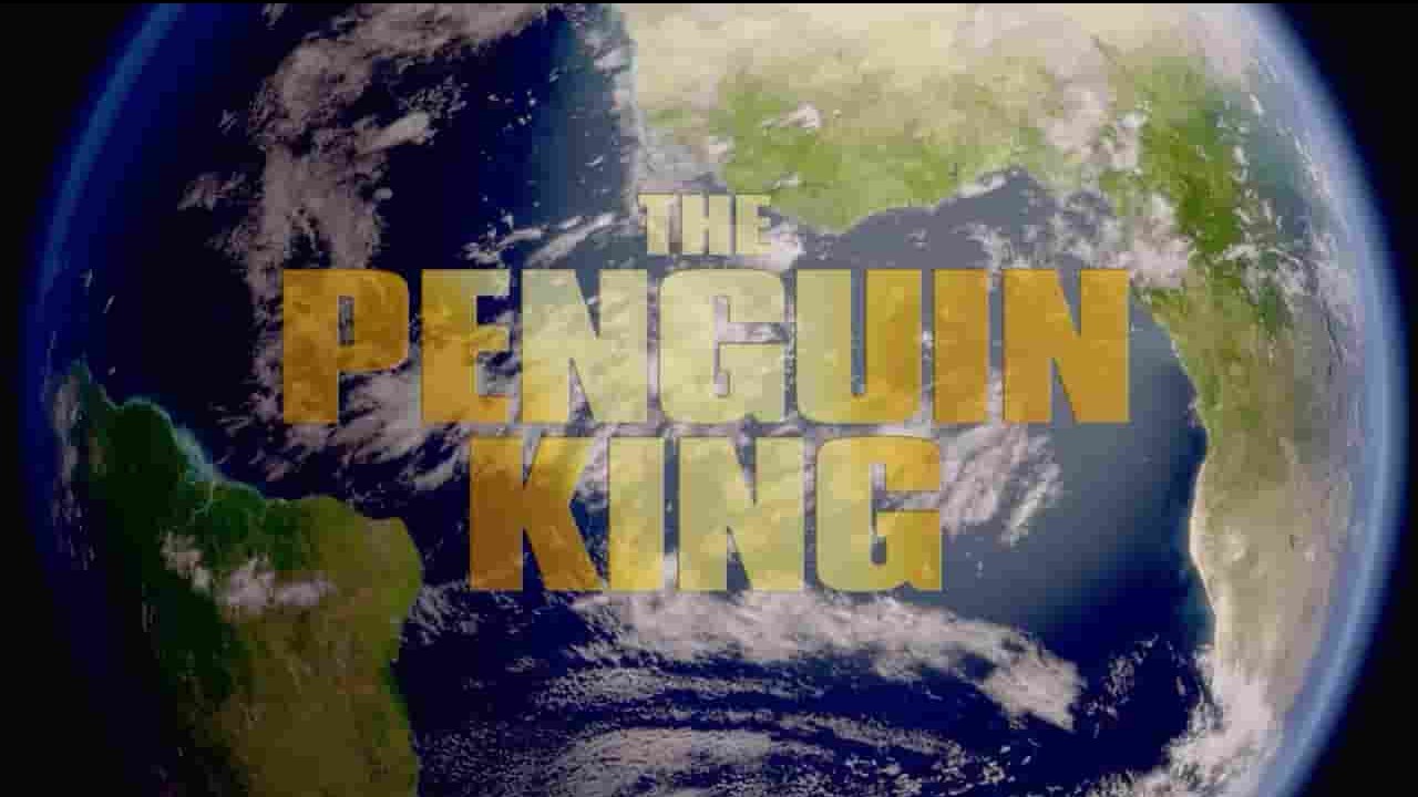 BSkyB纪录片《企鹅王历险 The Penguin King 2012》全1集 英语英字 720P高清网盘下载