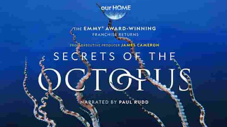 澳大利亚纪录片《章鱼的秘密/章鱼之谜 Secrets of the Octopus 2024》全3集 英语中字 4k超高清网盘下载