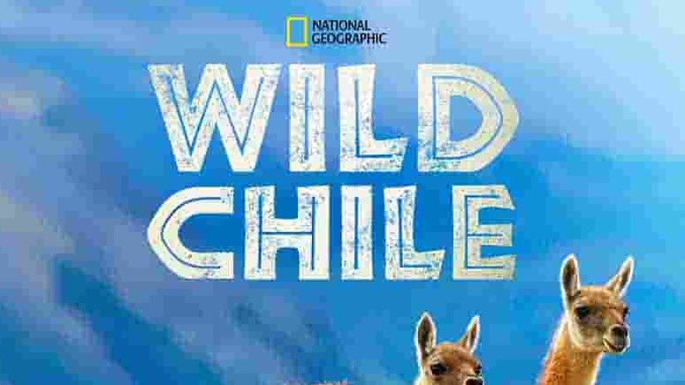国家地理《狂野智利 Wild Chile 2018》全3集 英语中字 1080p高清网盘下载