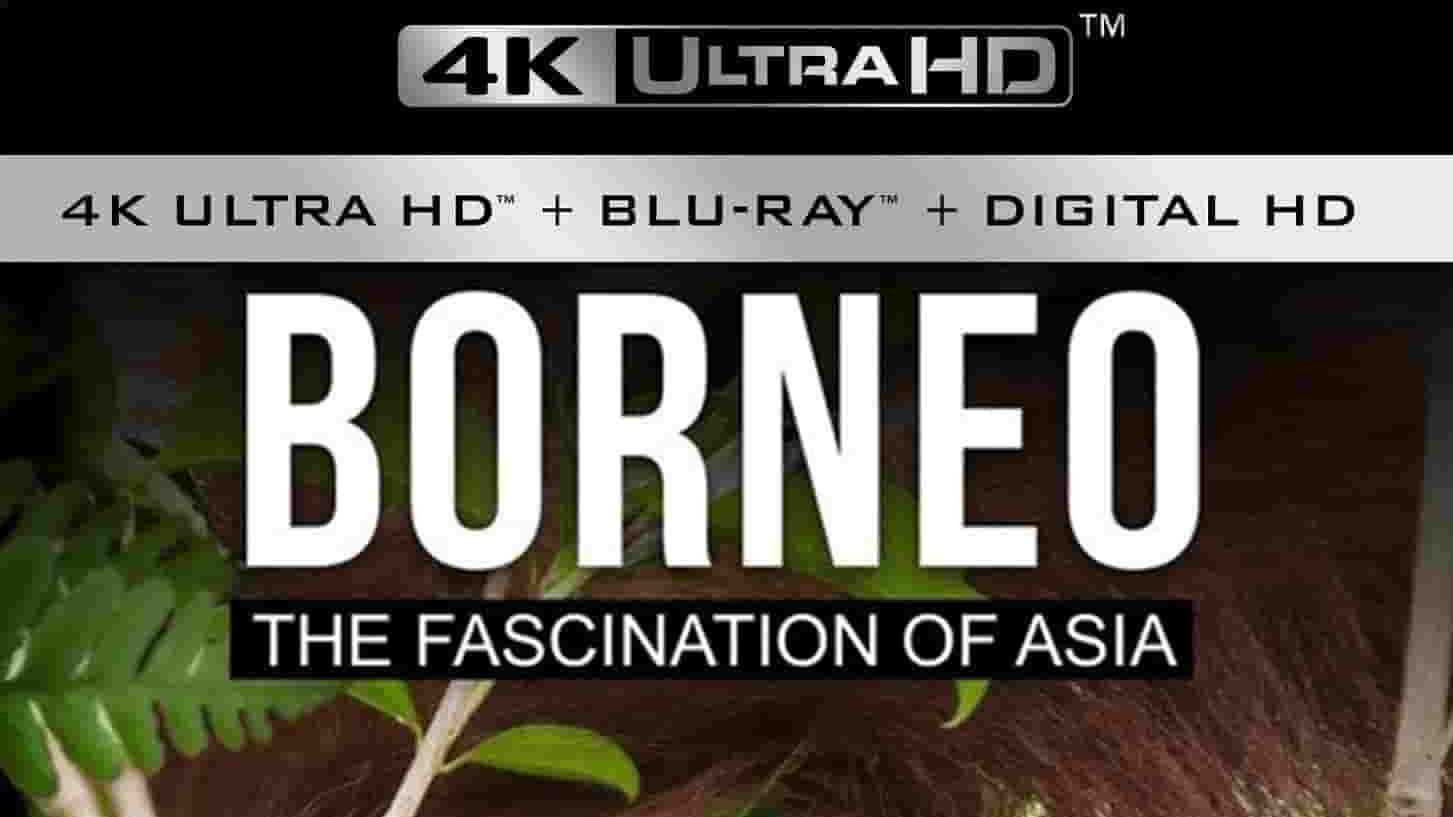 美国纪录片《婆罗洲：亚洲的魅力 Borneo The Fascination of Asia 2017》全1集  英语中字 4k超高清网盘下载