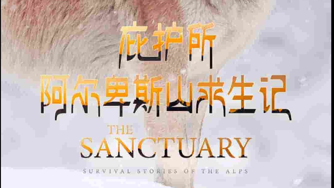 法国纪录片《庇护所：阿尔卑斯山求生记 Le plus beau pays du monde 3 : Le sanctuaire 2019》全2集 法语中字 1080p高清网盘下载