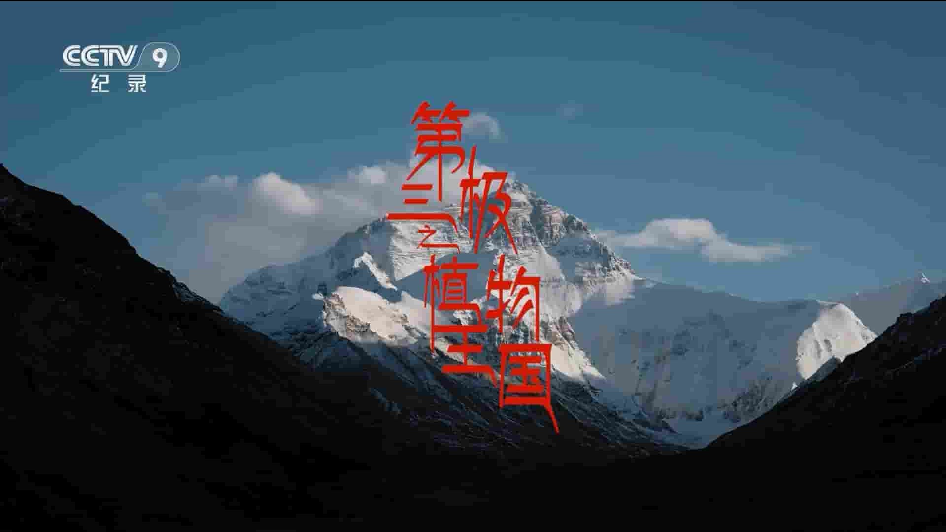 央视纪录片《第三极之植物王国/喜马拉雅的种子 Plants on the Roof of the World 2022》全3集 国语中字 1080P高清网盘下载