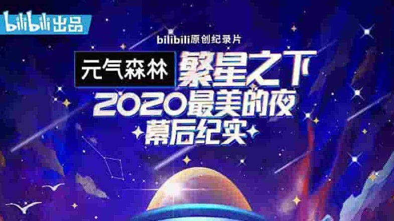 国产纪录片/B站纪录片《繁星之下：2020最美的夜 幕后纪实 2020》全3集 国语中字 1080p高清网盘下载 