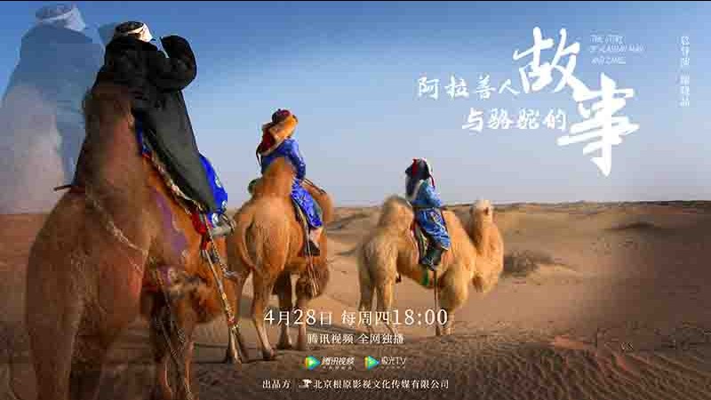 国产纪录片《阿拉善人与骆驼的故事  The Story Of Alashan Man And Camel 2022》全4集 国语中字 4k超高清网盘下载