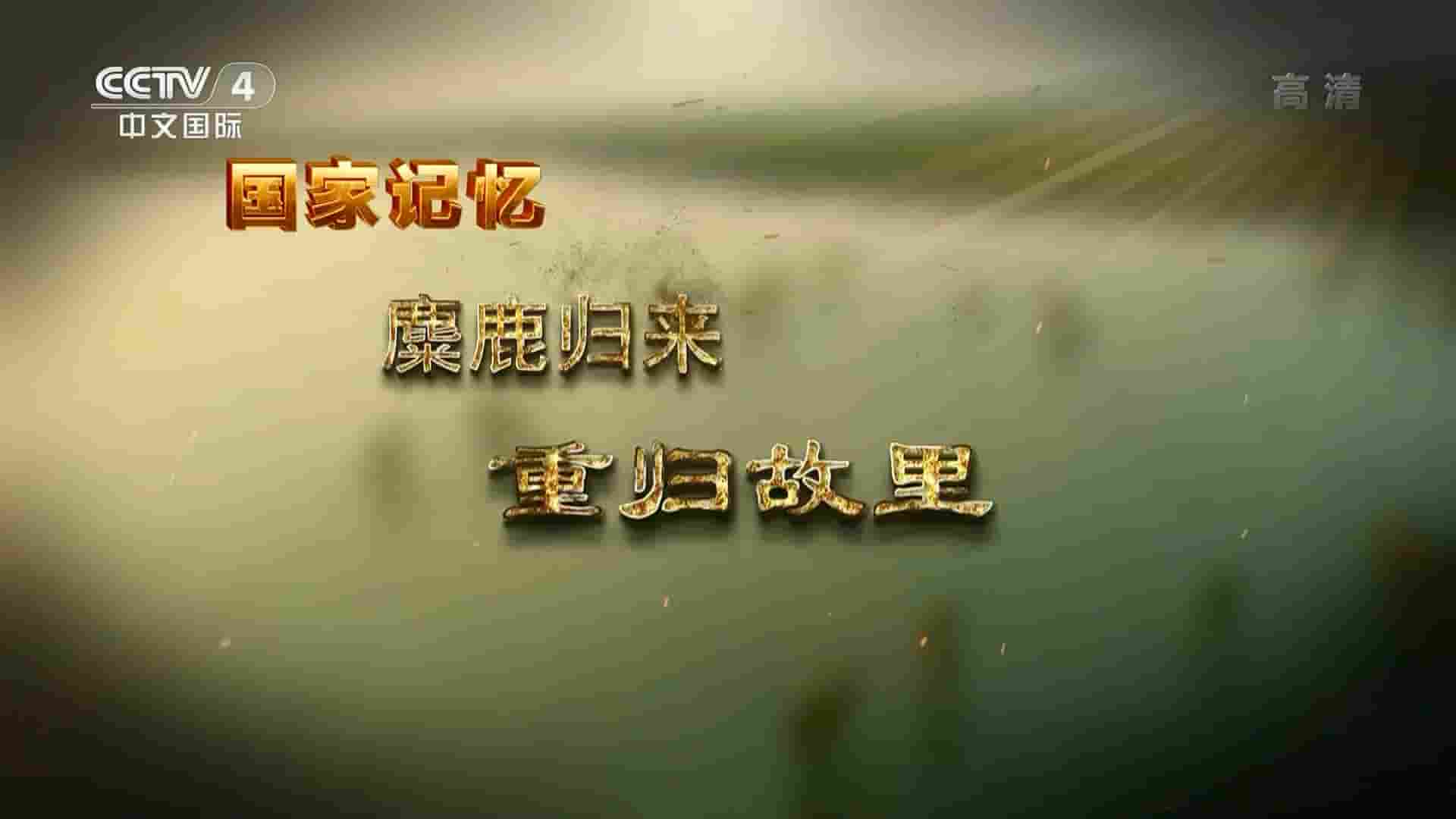 央视纪录片/国家记忆系列《麋鹿归来 2022》全5集 国语中字 1080P高清网盘下载