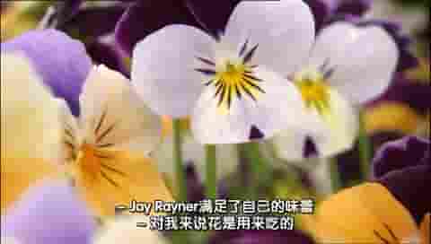 BBC纪录片《园艺节目A-Z The A to Z of TV Gardening 2013》第1季全25集 英语中字 720P高清网盘下载
