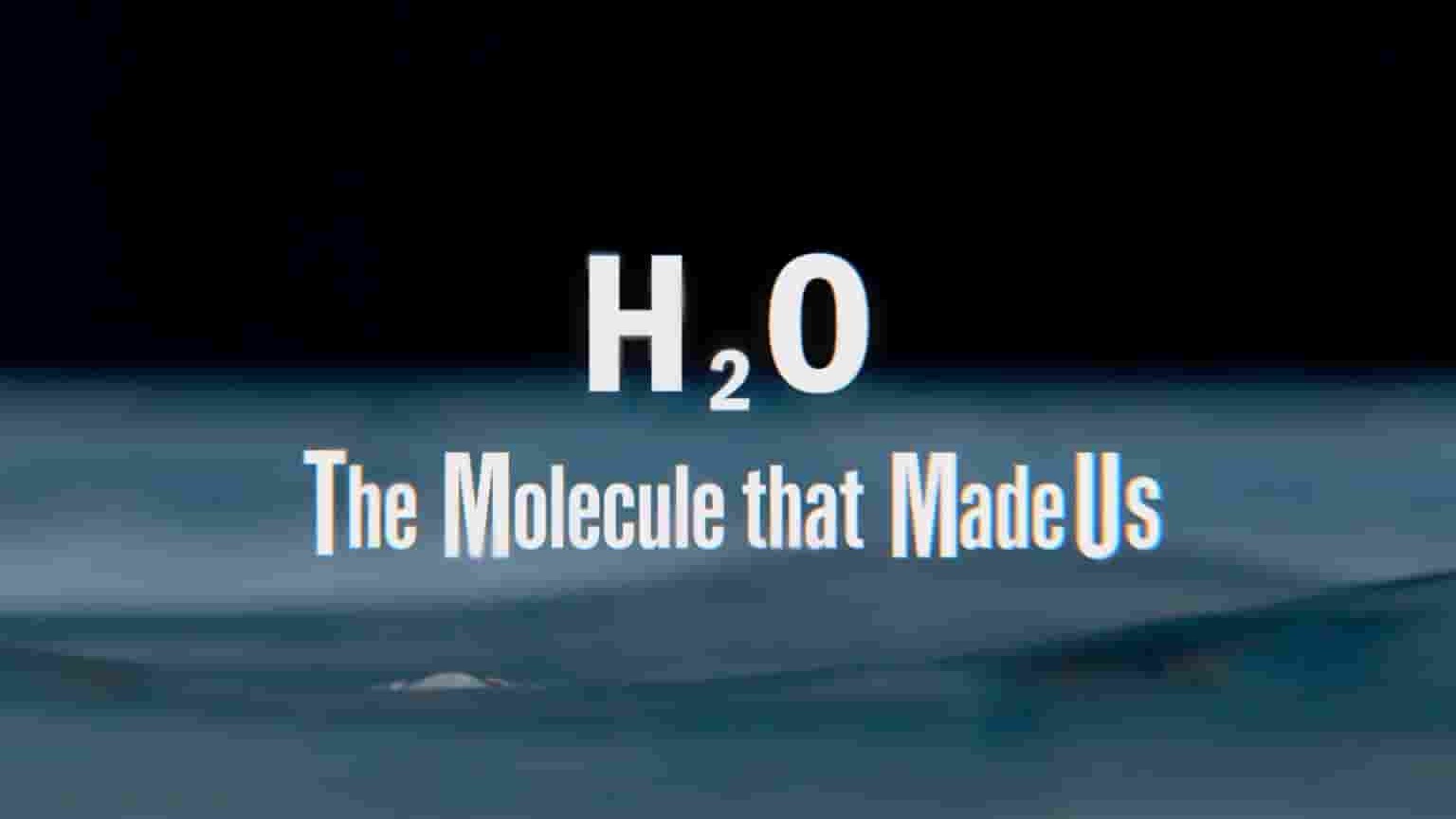 PBS纪录片《H2O：造就我们的分子 H2O: The Molecule That Made Us 2020》全3集 英语中英双字 1080P高清网盘下载