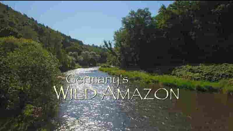 德国纪录片《德国最大的野生湖泊 Germany’s Wild Amazon 2019》全1集 英语中英双字 1080P高清网盘下载