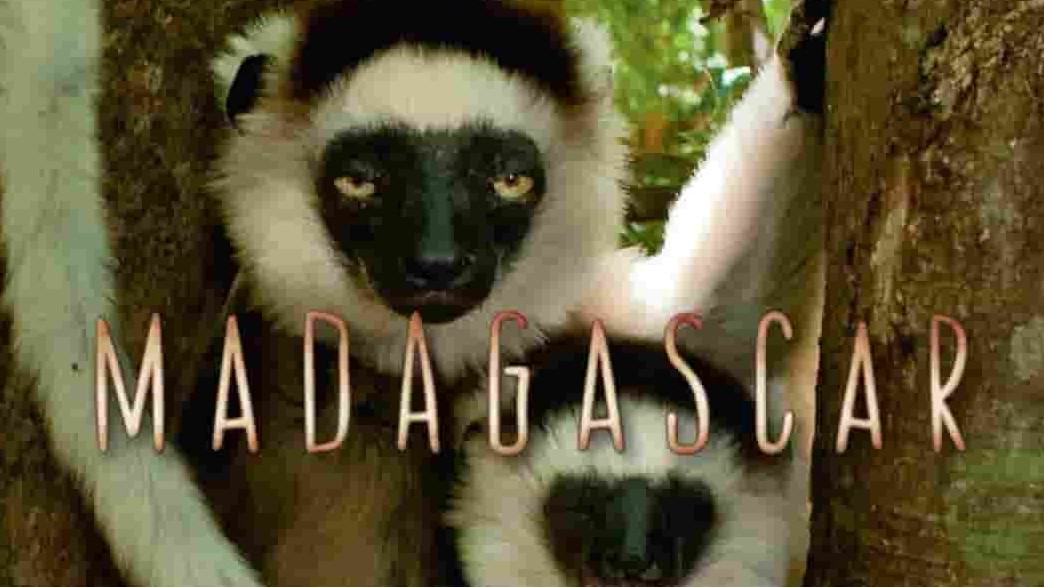 bbc纪录片《马达加斯加 Madagascar 2011》全3集 英语中字 1080p高清网盘下载