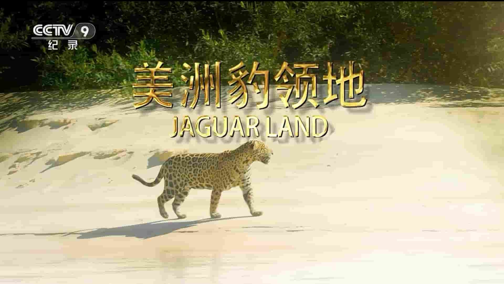 史密森频道《美洲豹领地 Jaguarland 2018》全1集 国语中字 1080P高清网盘下载