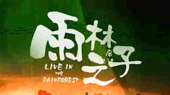 国产纪录片《雨林之子 2022》全5集 国语中字 4k超高清网盘下载