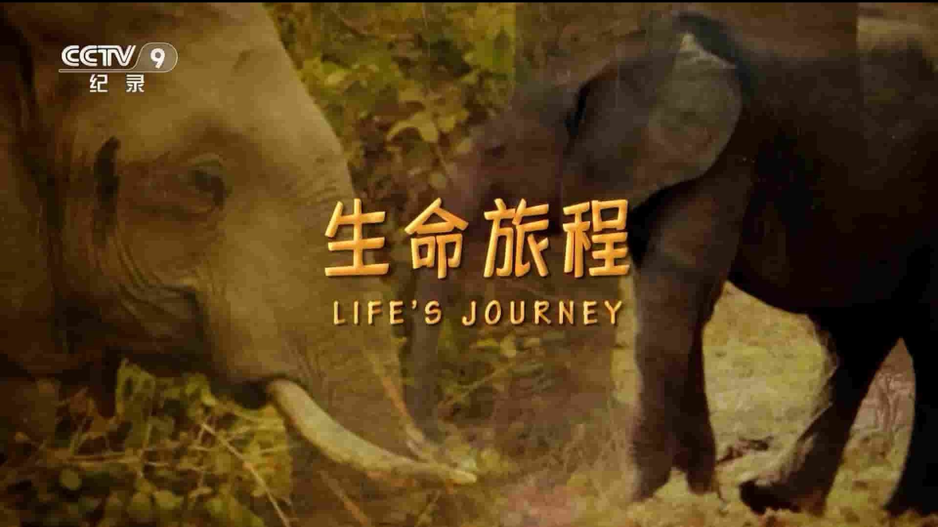 央视纪录片《生命旅程 Life’s Journey 2017》全3集 国语中字 1080P高清网盘下载