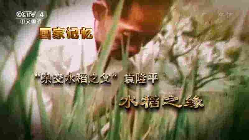 央视纪录片/国家记忆系列《“杂交水稻之父”袁隆平 2022》全5集 国语中字 1080i高清网盘下载