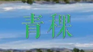 国产纪录片《青稞 2021》全2集 国语中字 1080p高清网盘下载