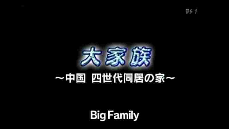 NHK纪录片《中国四世同堂之家 ドキュメンタリー 2008》全1集 日语中字 标清网盘下载