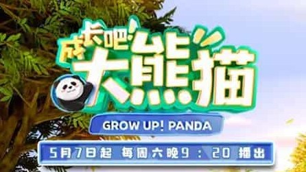 国产纪录片《成长吧！大熊猫 2022》全13集 国语中字 4k超高清网盘下载 