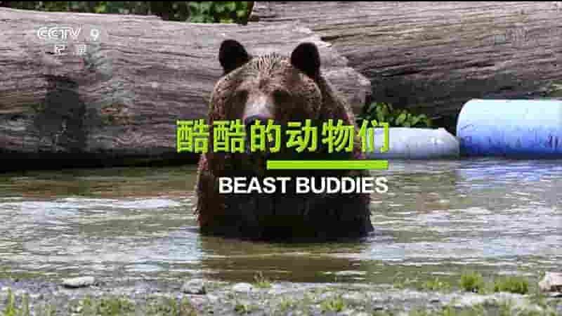 英国纪录片《酷酷的动物们/凶猛宠物 Beast Buddies 2016》全5集 国语中字 1080P高清网盘下载