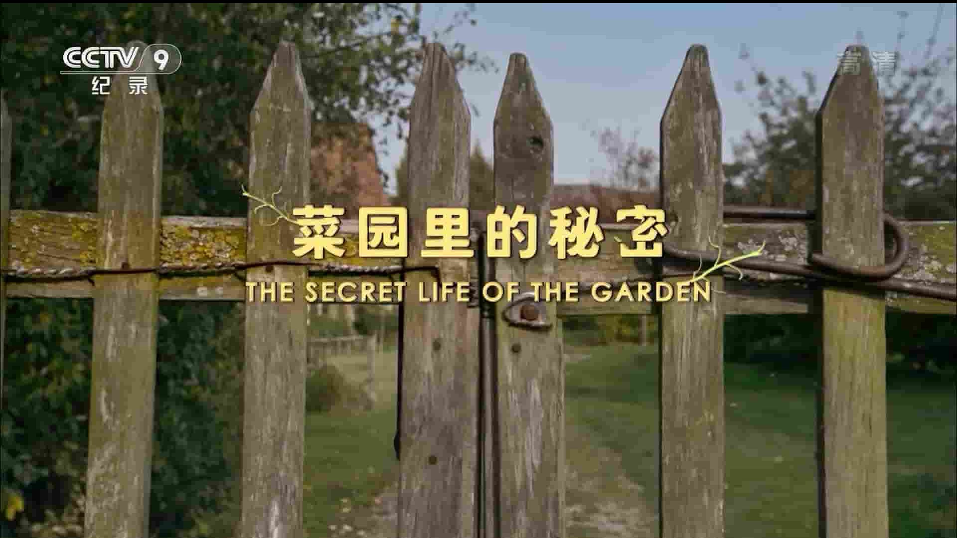 法国纪录片《菜园里的秘密 The Secret Life of The Garden 2021》全1集 国语中字 1080P高清网盘下载