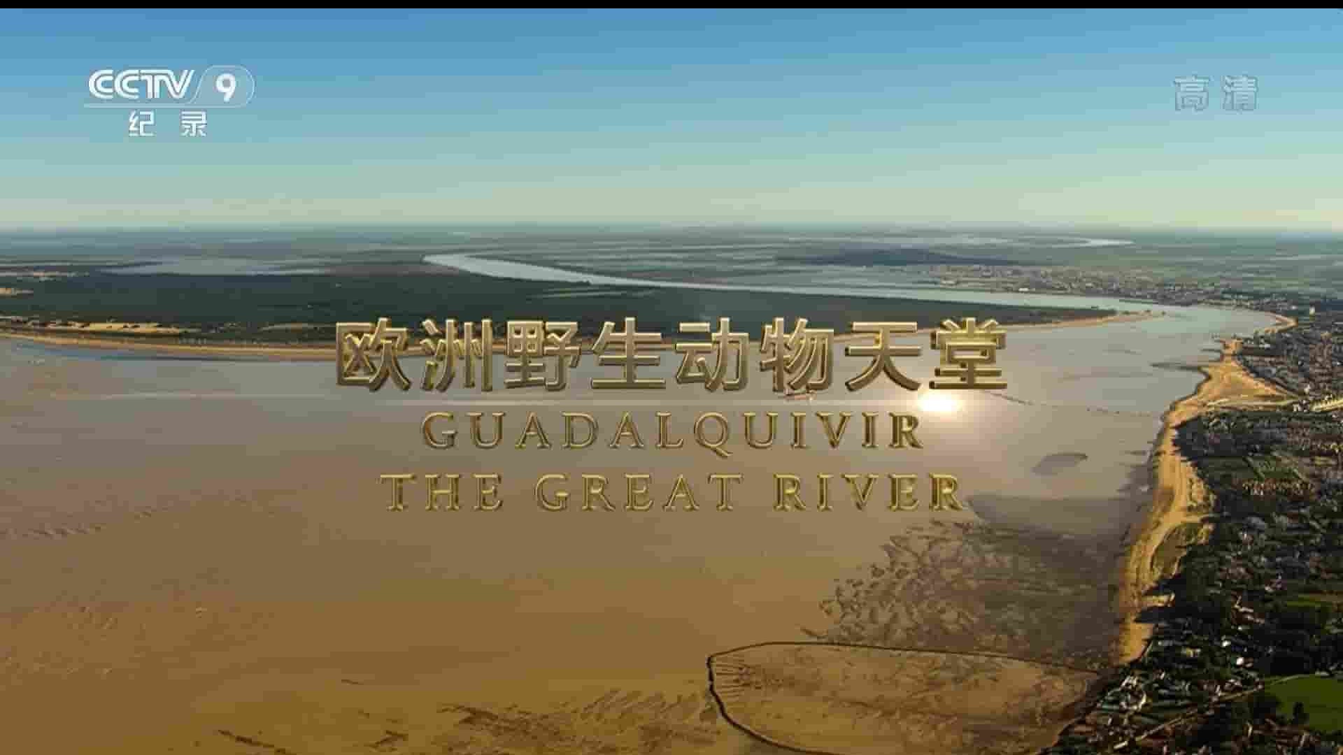 央视纪录片《欧洲野生动物天堂 Guadalquivir: The Great River 2016》全1集 国语中字 1080P高清网盘下载