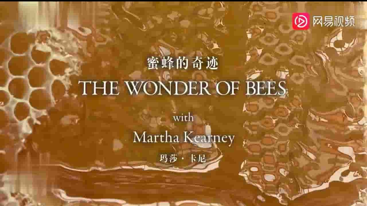  BBC纪录片《蜜蜂的奇迹 The Wonder of Bees with Martha Kearney 2014》全4集 英语内嵌中英双字 标清网盘下载