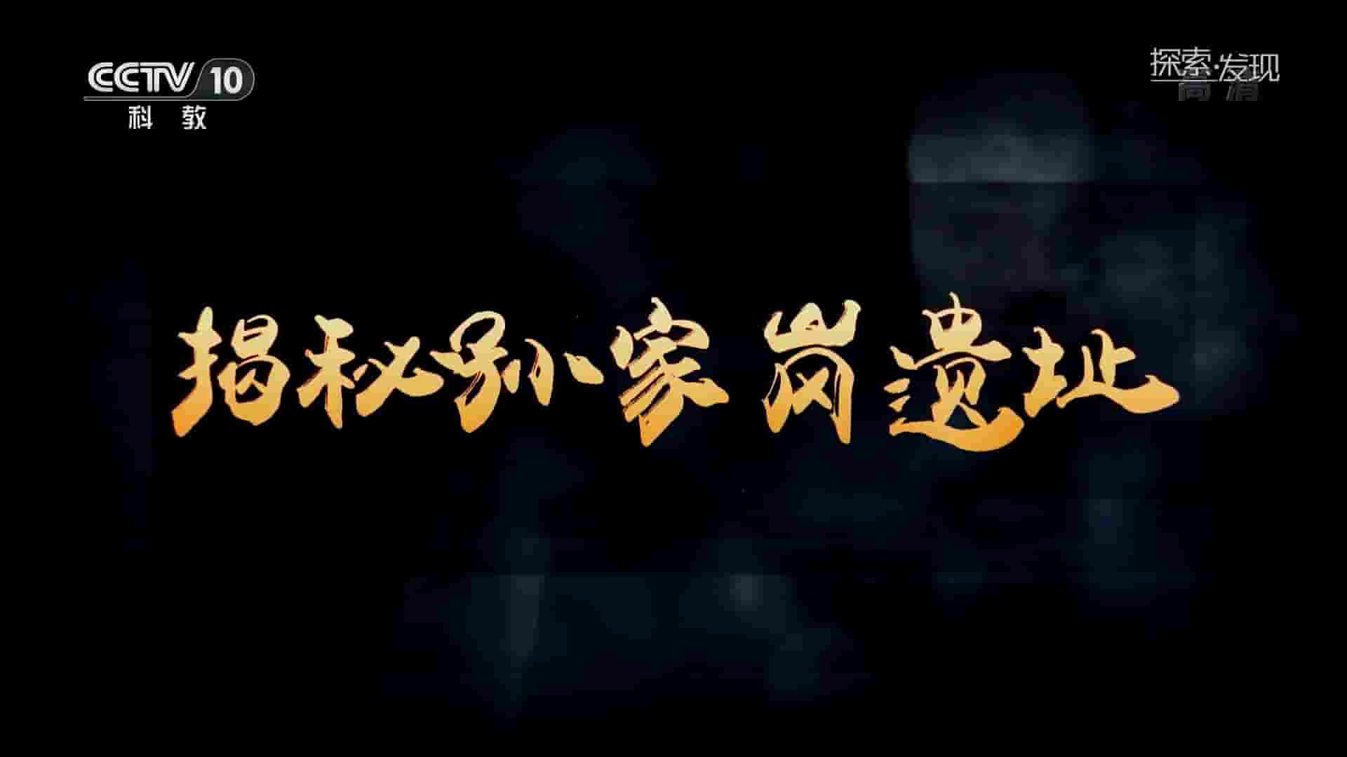 央视考古纪录片《揭秘孙家岗遗址 2020》全1集 国语中字 1080P高清网盘下载