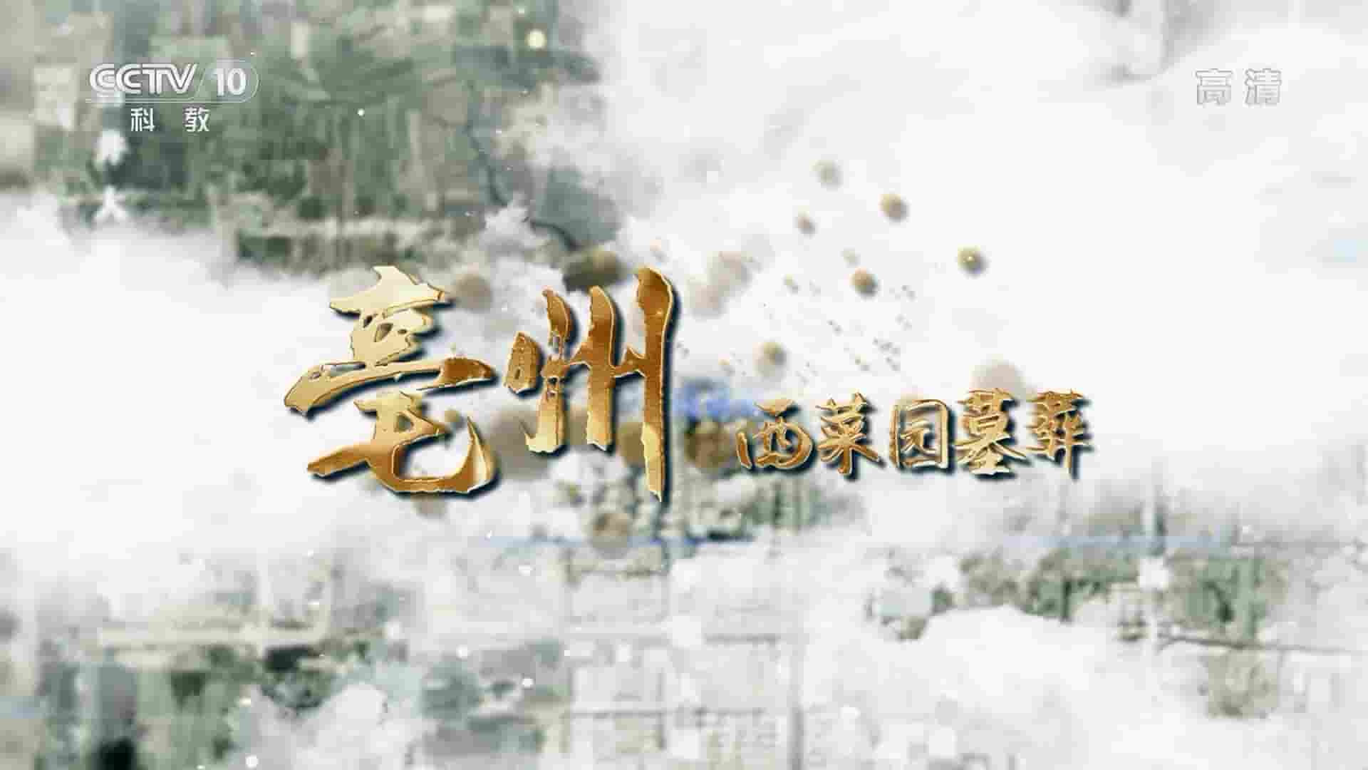  央视考古纪录片《亳州西菜园墓葬 2022》全2集 国语中字 1080P高清网盘下载