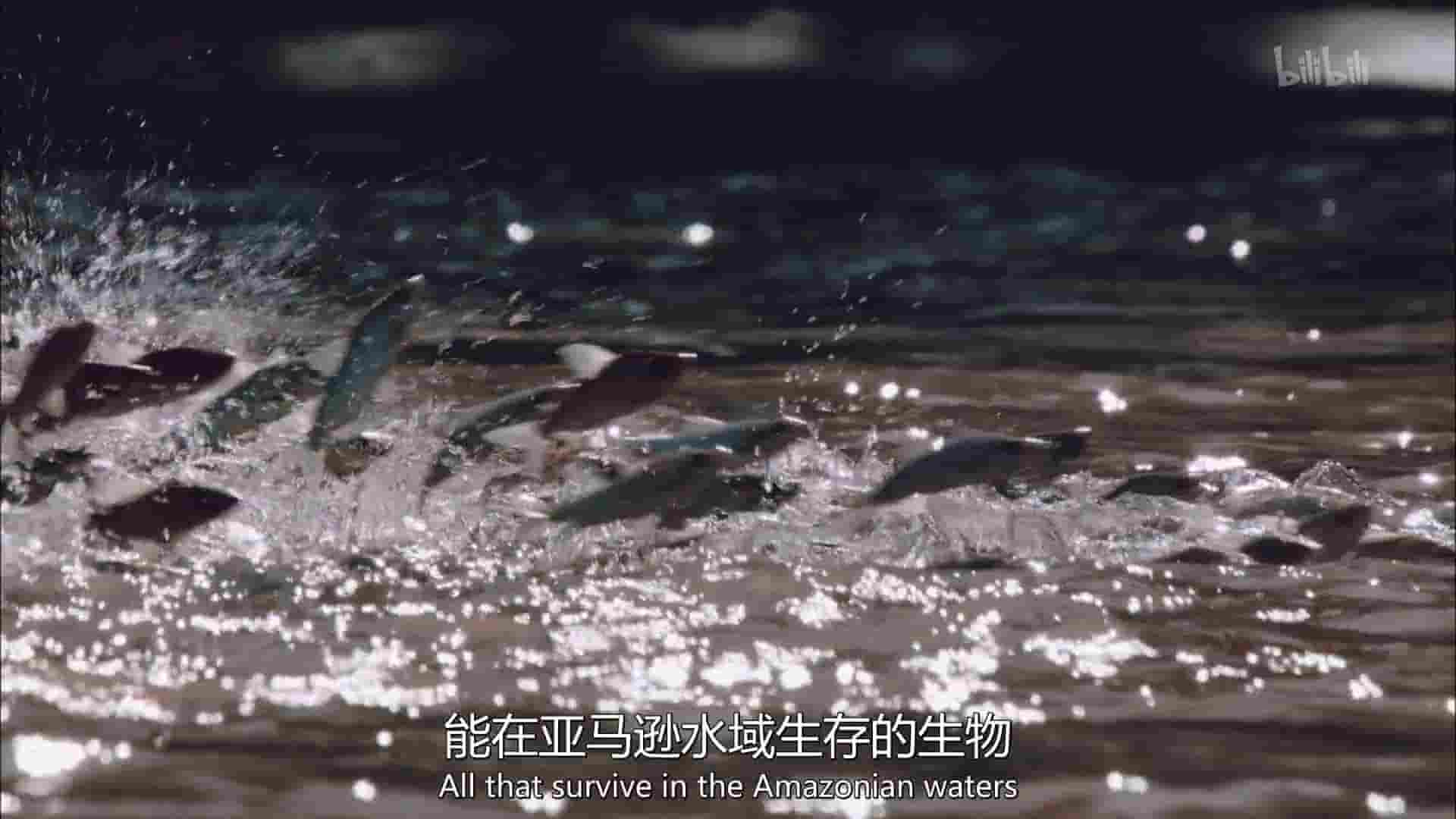 美国纪录片《伟大的亚马逊：大河的秘密 The Great Amazon: Secrets of the Mighty River 2016》全1集 英语中英双字 1080P高清网盘下载 