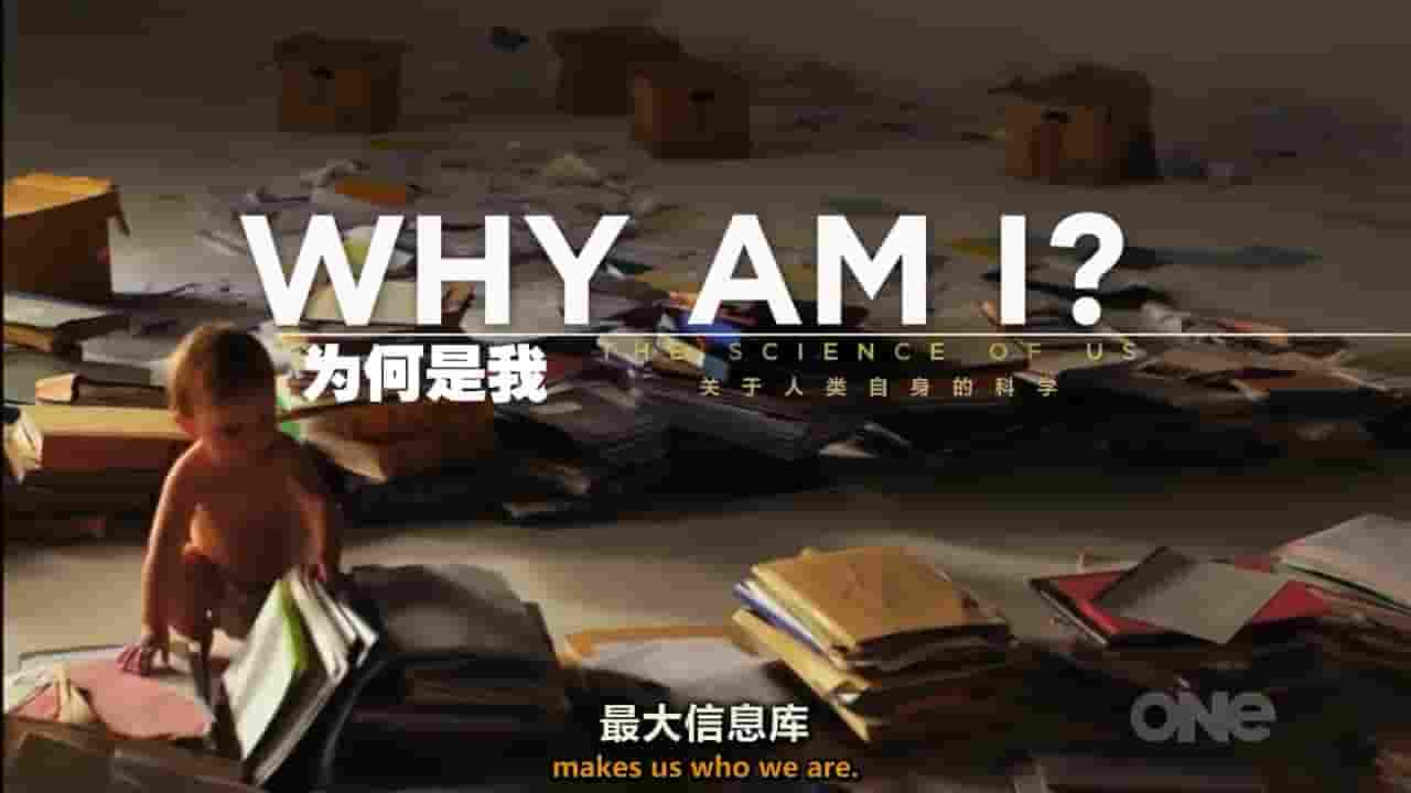 新西兰纪录片《为何是我：关于人类自身的科学 Why Am I：The Science of Us 2016》全4集 英语内嵌中英双字 720P高清网盘下载