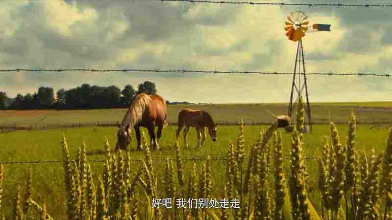国产儿童科普纪录片《如果我是一只动物 If I Were an Animal 2018》全52集 国语中字 1080P高清网盘下载