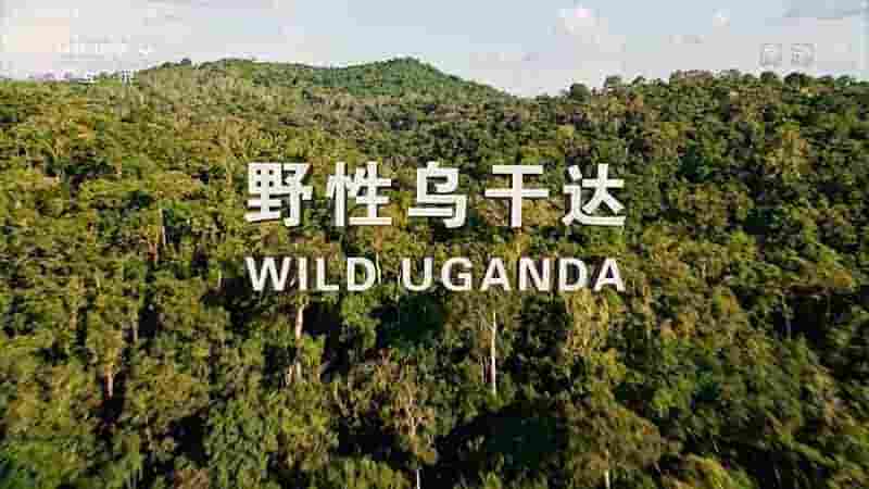 国家地理《野性乌干达 Wild Uganda 2018》全1集 国语中字  1080i高清网盘下载