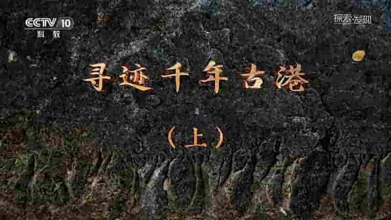 央视考古纪录片《考古中华·上海篇 寻迹千年古港 2019》全2集 国语中字 720P高清网盘下载