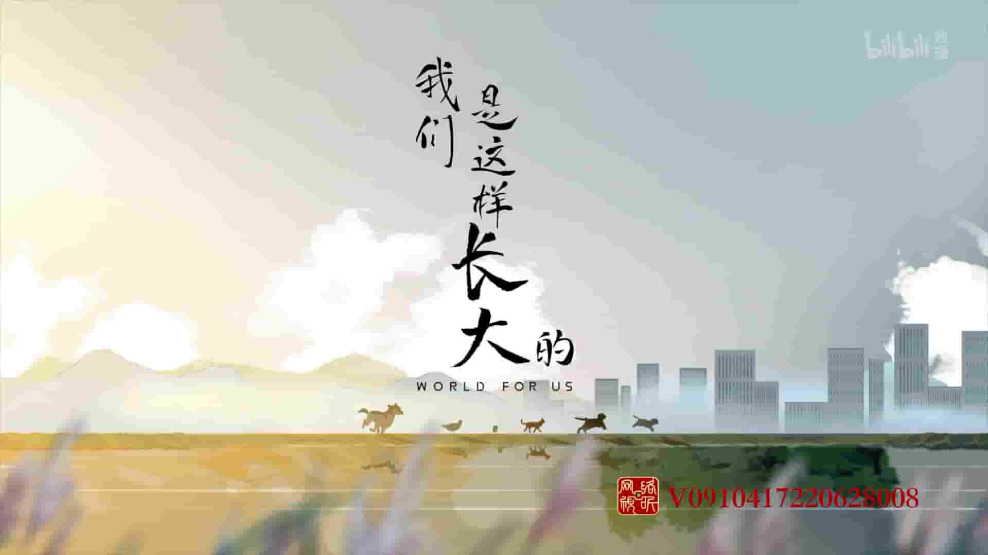 国产纪录片《我们是这样长大的 2022》全9集 国语中字 1080P高清网盘下载