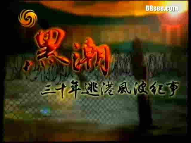  凤凰大视野《黑潮：逃港三十年风波纪事 2007》全5集 国语中字 标清网盘下载