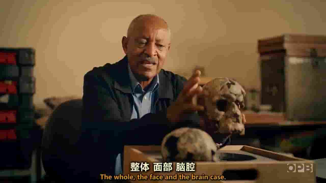 PBS纪录片《非洲伟大文明 Africa’s Great Civilizations 2017》全6集 英语内嵌中英双字 720P高清网盘下载