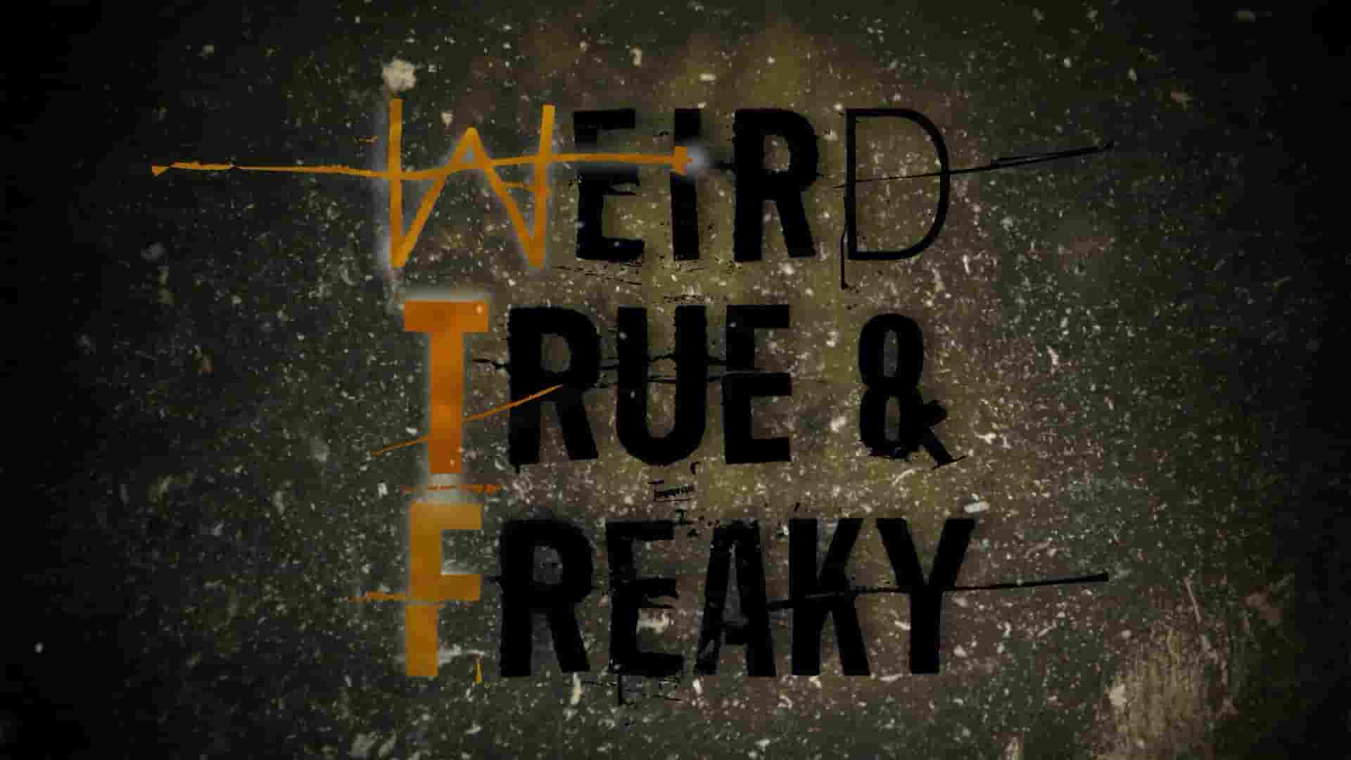 探索频道《奇怪，真实与怪异 Weird, True & Freaky 2008》第4季全10集 英语中英双字 1080P高清网盘下载