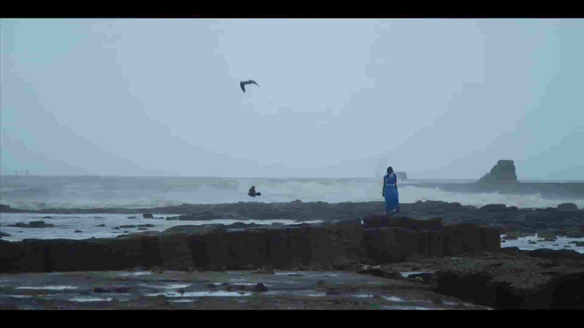 ARTE纪录片《印度雨季 MOUSSON 2015》全1集 英语中字 1080P高清网盘下载