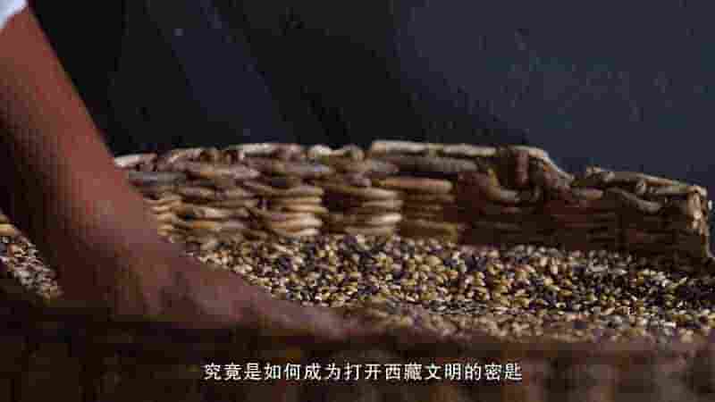 国产纪录片《青稞 2021》全3集 国语中字 4K超高清网盘下载